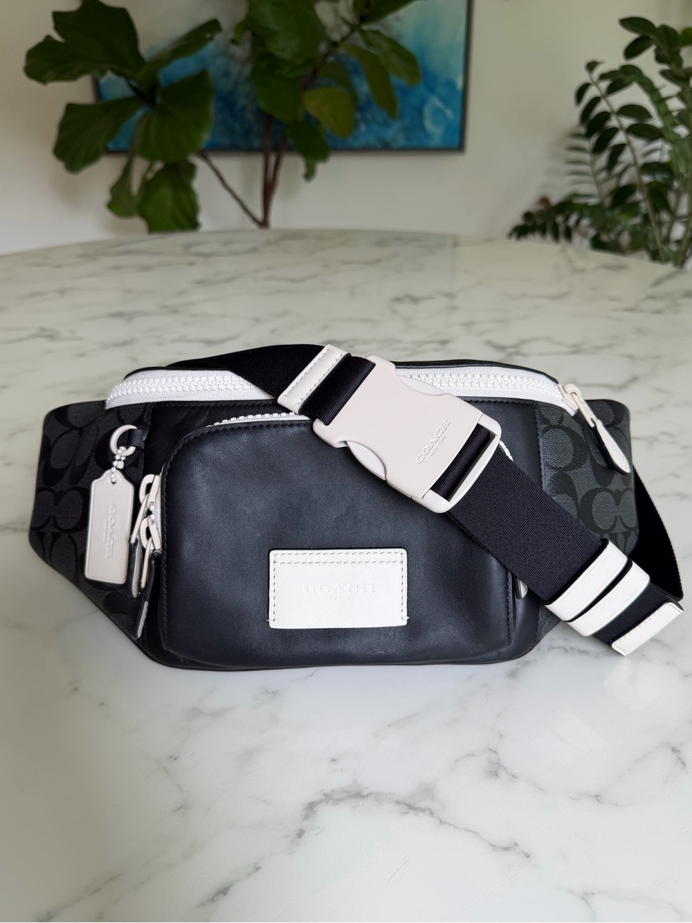 Coach Track Belt Bag in Signature Canvas Gunmetal Charcoal Chalk C6651 Crossbody